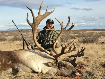 Diy Caribou Hunt In Alaska